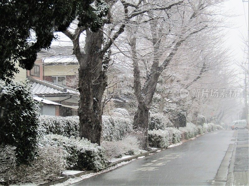 日本。1月。下雪的城市街道。