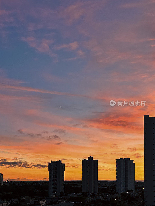 夏日清晨，太阳冉冉升起。