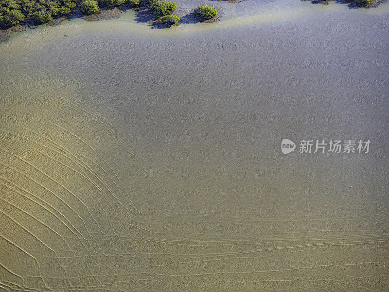 海潮涟漪和红树林的鸟瞰图