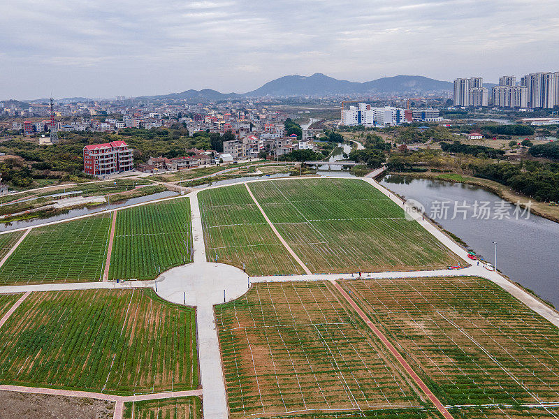 现代乡村建筑和农业用地鸟瞰图