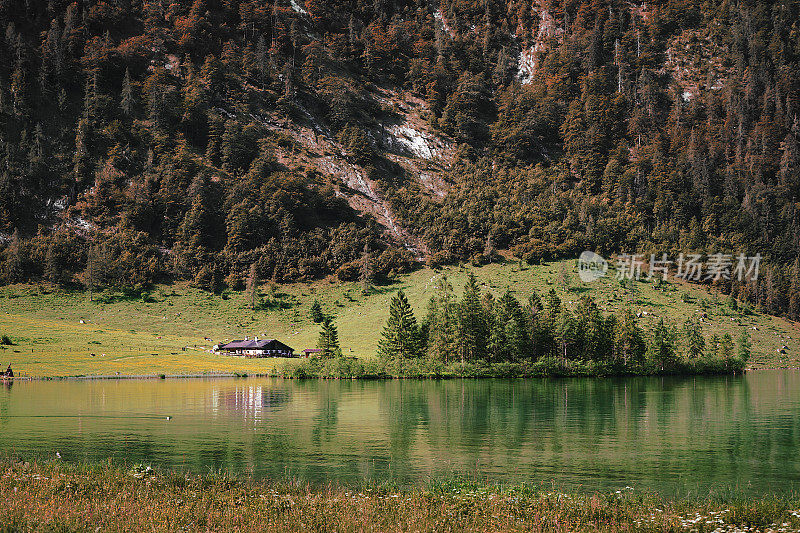 传统的木屋坐落在德国巴伐利亚州贝希特斯加登国家公园湖边的一座小山上。