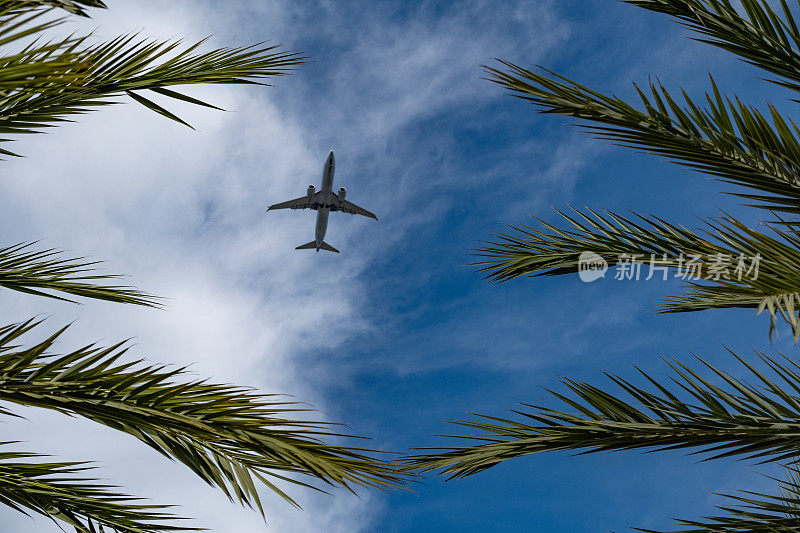 商用飞机在迈阿密上空低空飞行