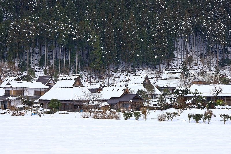 宫山村的茅草，日本，京都县，南滩，京都