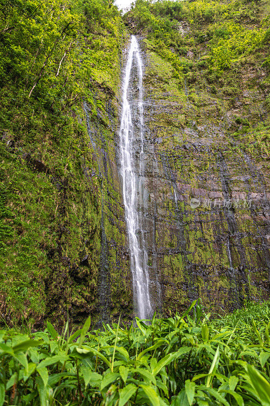 瀑布从苔藓覆盖的岩石上流下，周围是郁郁葱葱的天然雨林