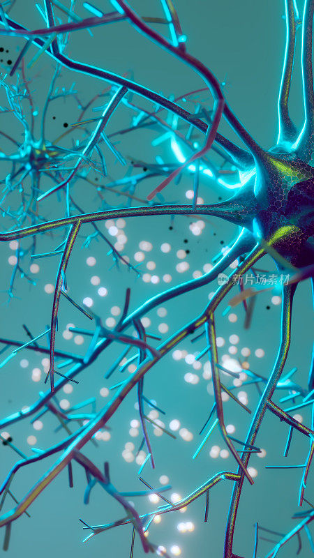 神经元和带有信号的神经网络可视化
