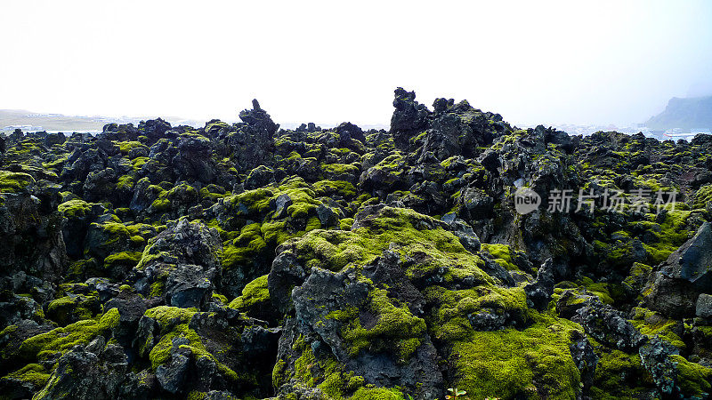 冰岛海岸外的Vestmannaeyjabær小镇是一个沉睡的小镇，它生活在两座火山的阴影下，1973年，一座熔岩场曾威胁到这座小镇