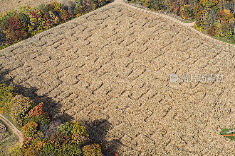 秋天玉米迷宫雕刻从田野天线