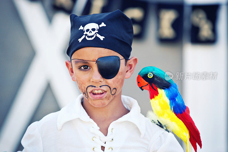 海盗男孩和鹦鹉