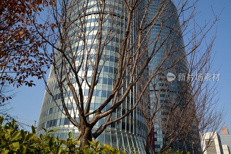 中国浙江财富金融中心大厦下的树木