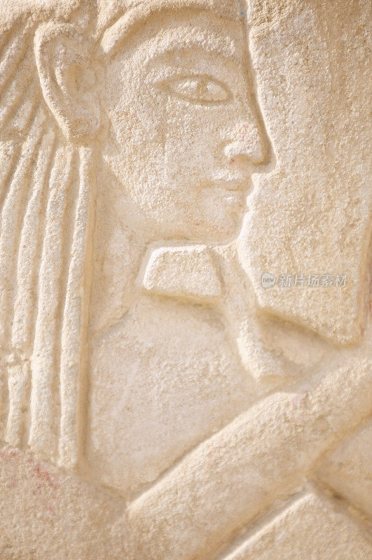 埃及象形文字脸部特写轮廓