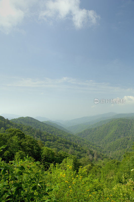 大烟山国家公园的晚春