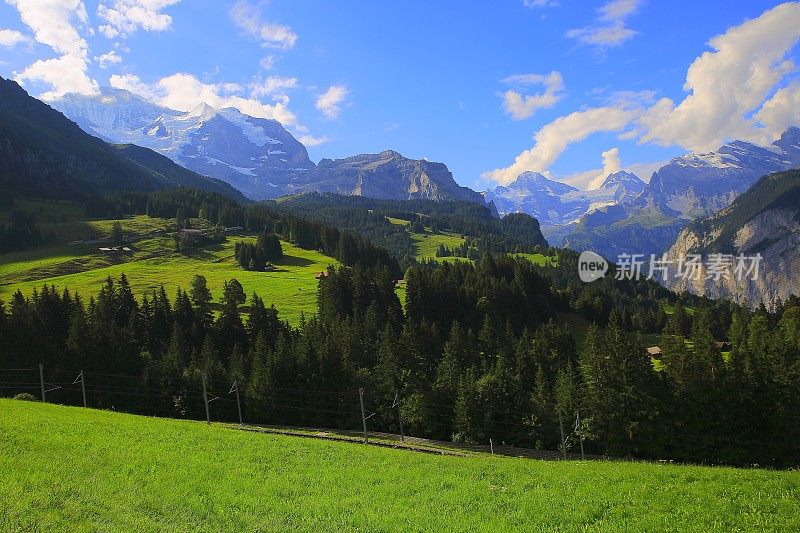 少女，高山景观:林地和草地，Lauterbrunnen，瑞士阿尔卑斯山