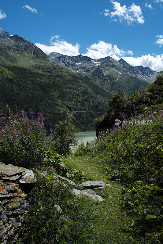瑞士阿尔卑斯山的阿尔卑斯山景观