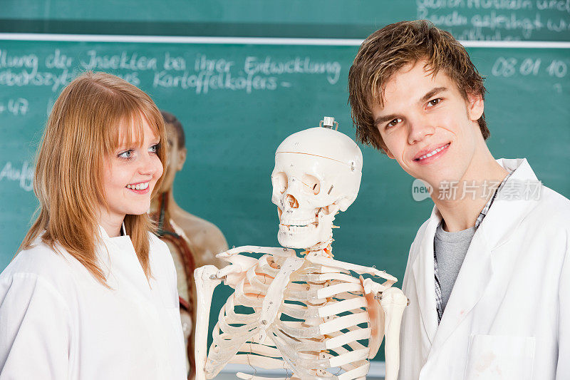 医学院学生正在检查人体骨骼
