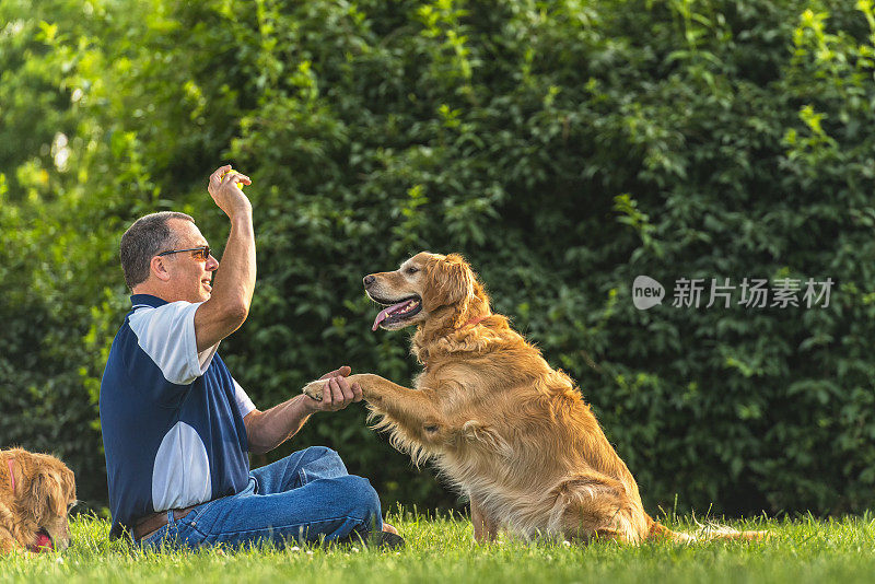 日落时分，一个男人在抚摸他的狗