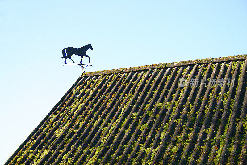 屋顶上的金属马型风向标