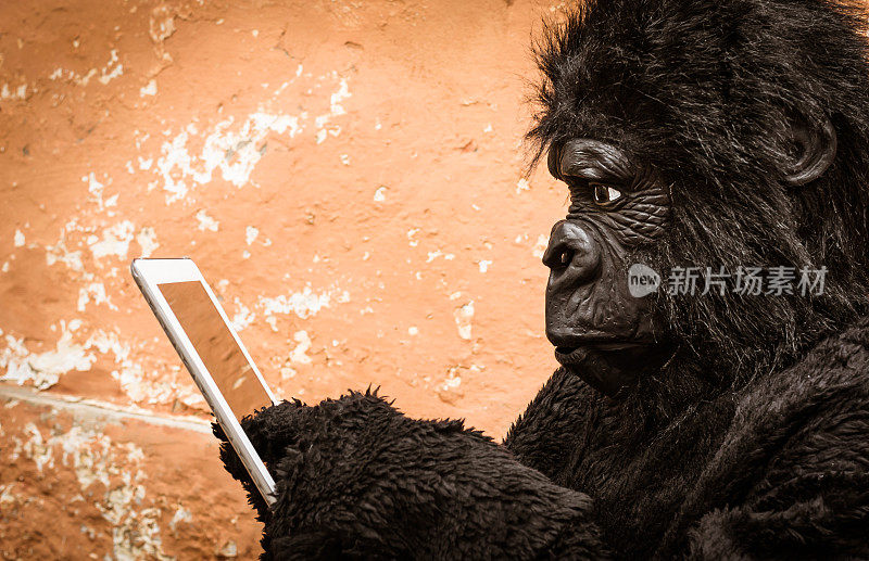 大猩猩用平板电脑