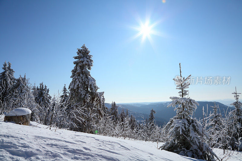 阳光winterday