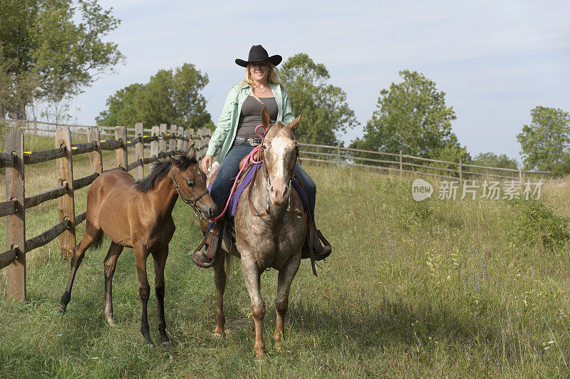 骑在马背上的女牛仔在夏天的田野里牵着小马驹