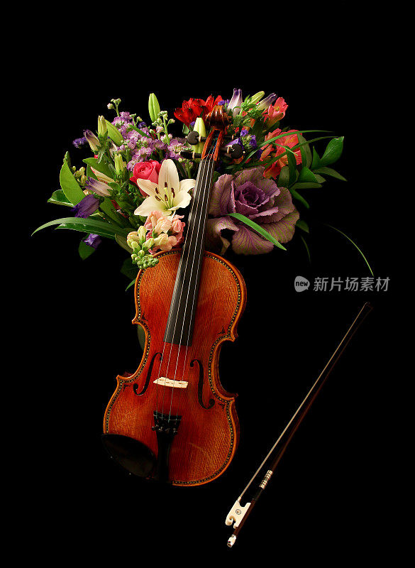 小提琴和鲜花