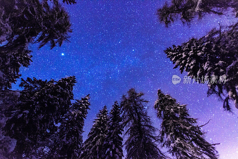 银河般的夜空和白雪覆盖的树木