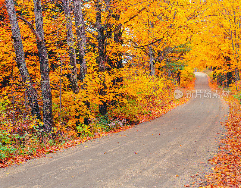 佛蒙特州绿山丘陵的秋天
