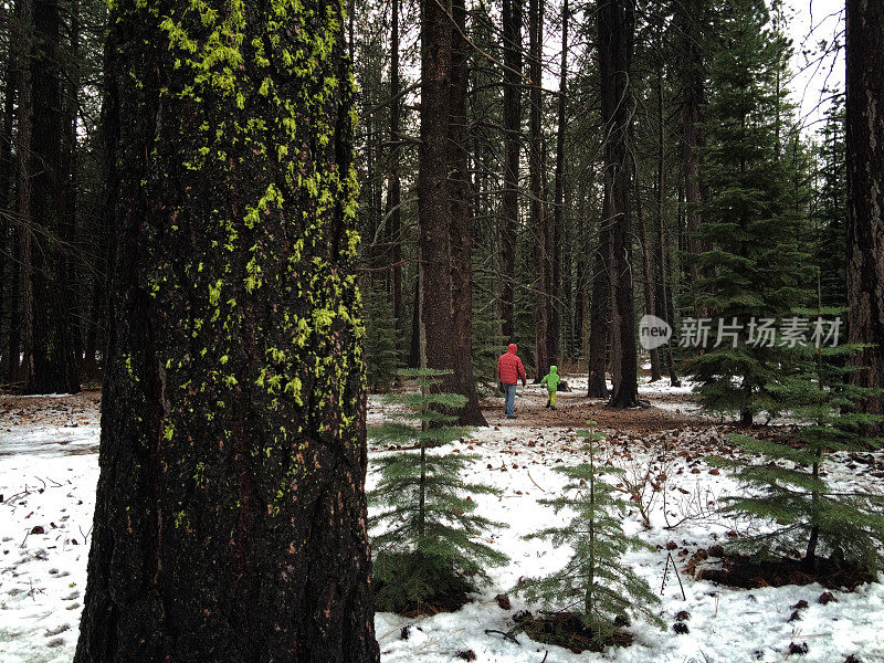 男孩和父亲走在白雪覆盖的森林里