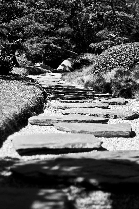 日本的一种石头，在花园中用作台阶