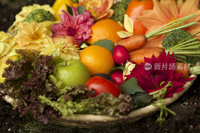 色彩鲜艳的水果和蔬菜
