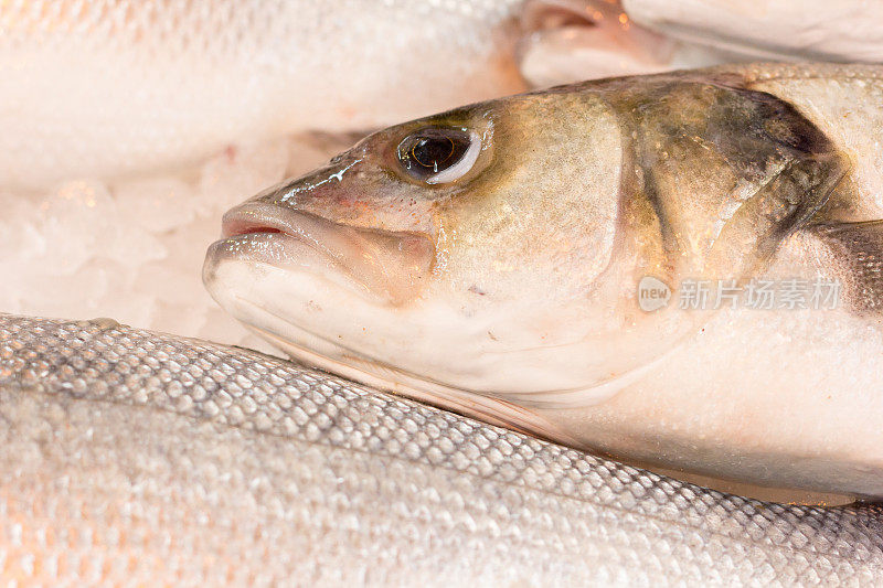 伦敦博罗市场的海鲈鱼