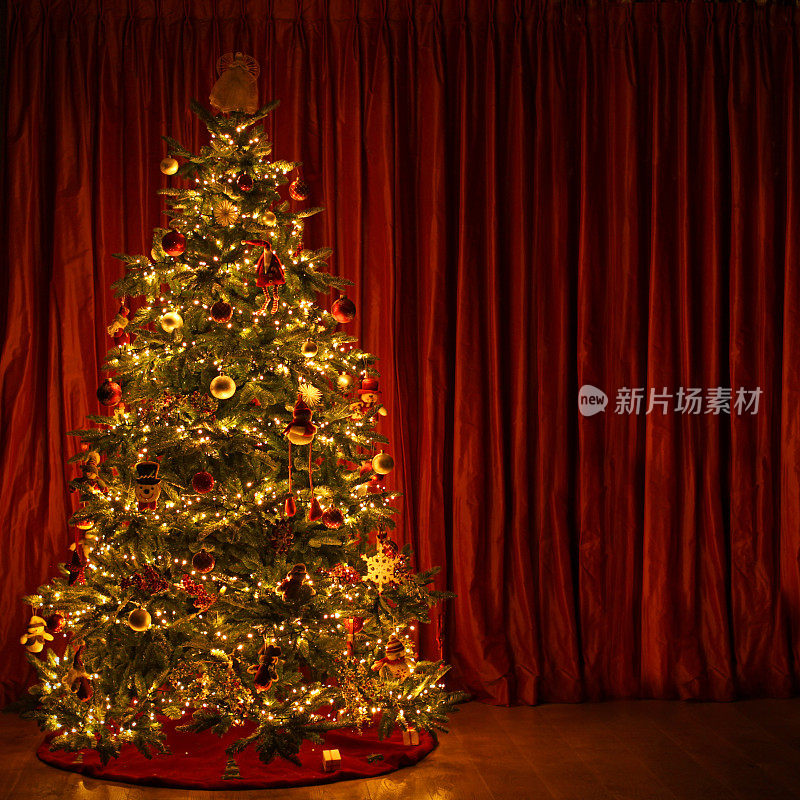 在深红色窗帘前点亮的圣诞树