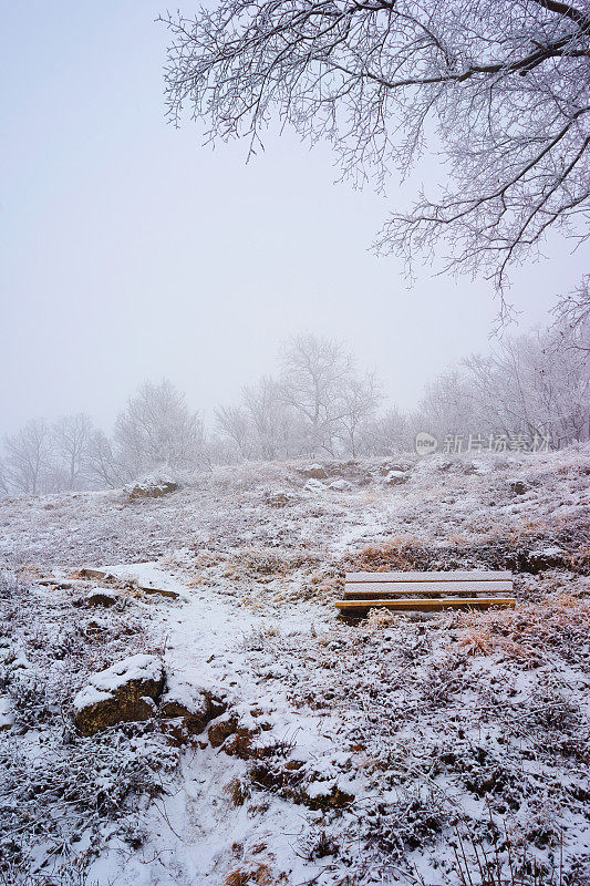 冬日仙境中的长凳