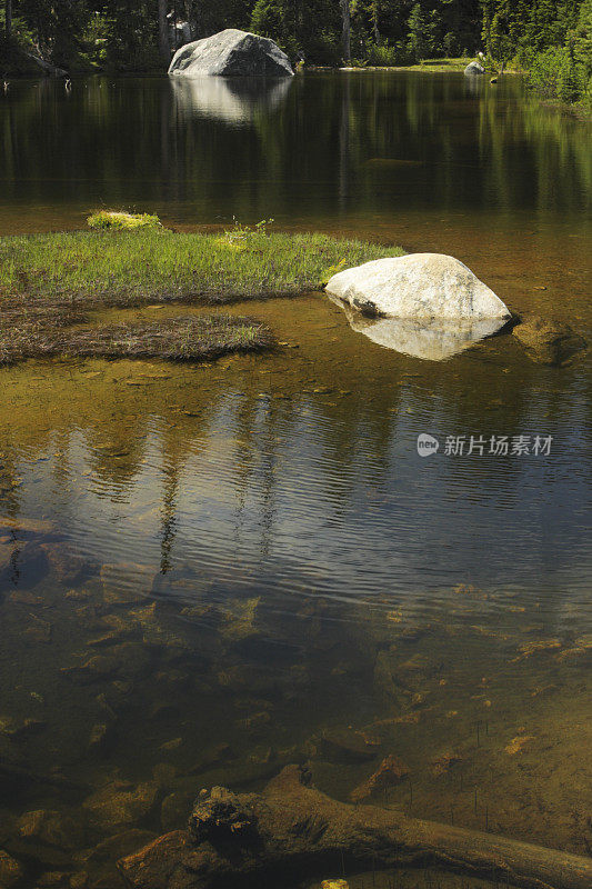 宁静的森林湖景