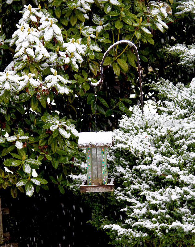 雪花落在喂鸟器上