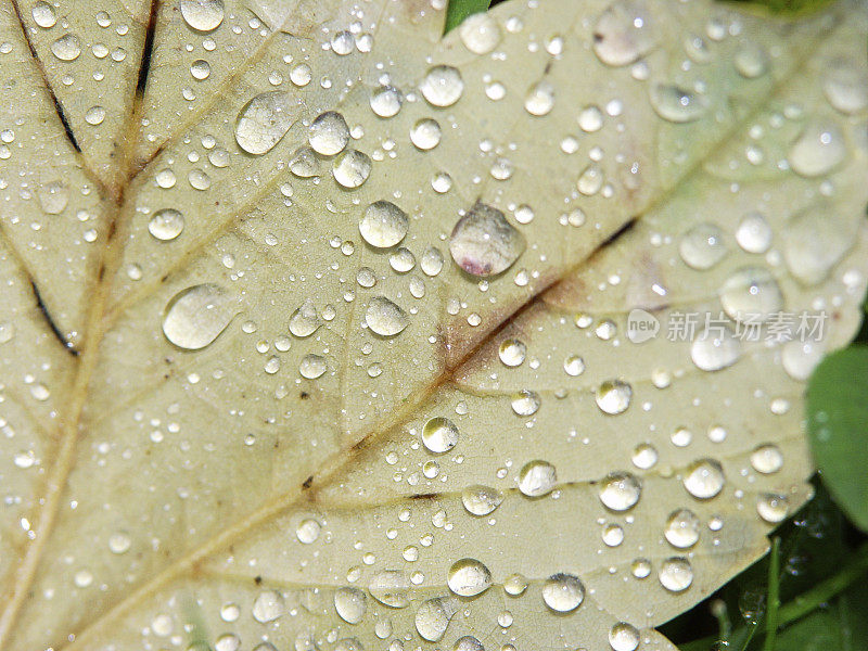 雨后