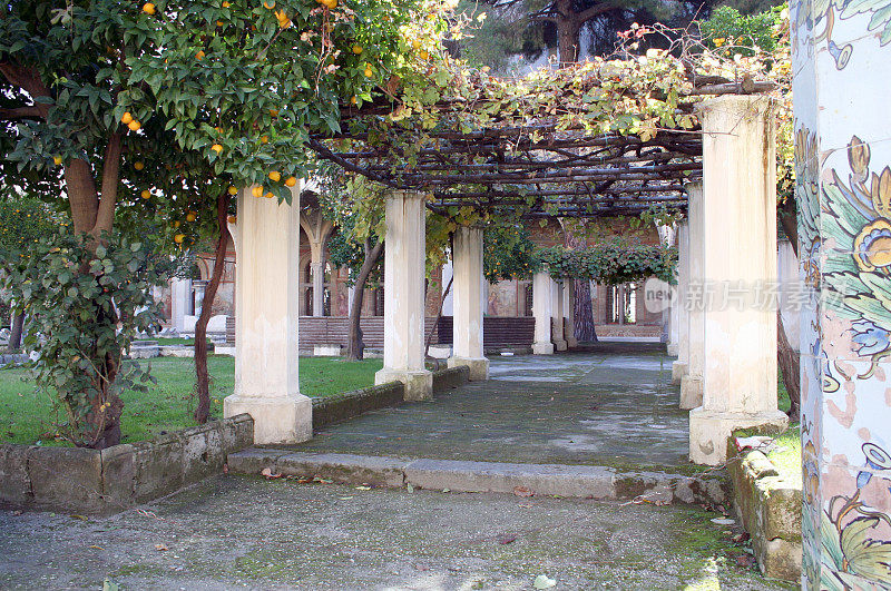 意大利那不勒斯圣基娅拉修道院的葡萄种植