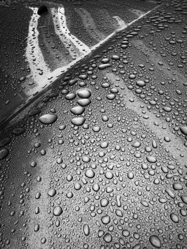 水滴在汽车引擎盖-单色图像