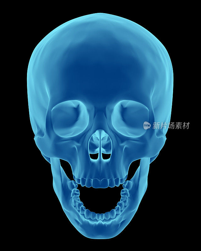 3D渲染就像x射线的人类头骨