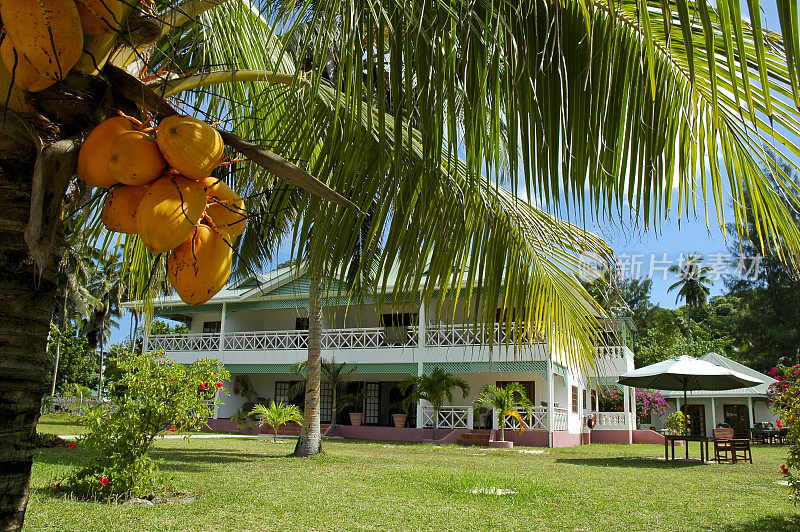 酒店建筑在棕榈树后面
