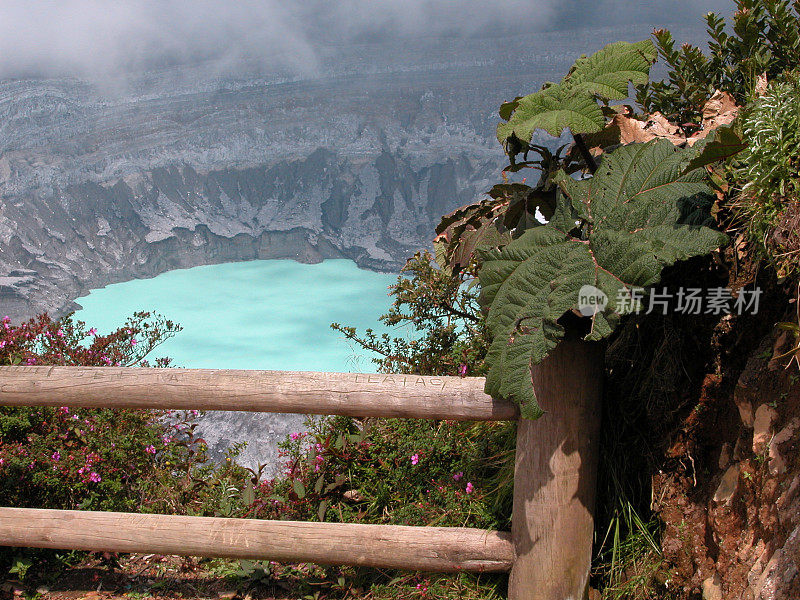 Poas火山口和花