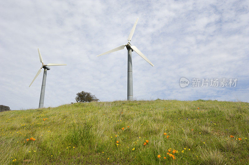 山上的风力涡轮机，前景中有野花
