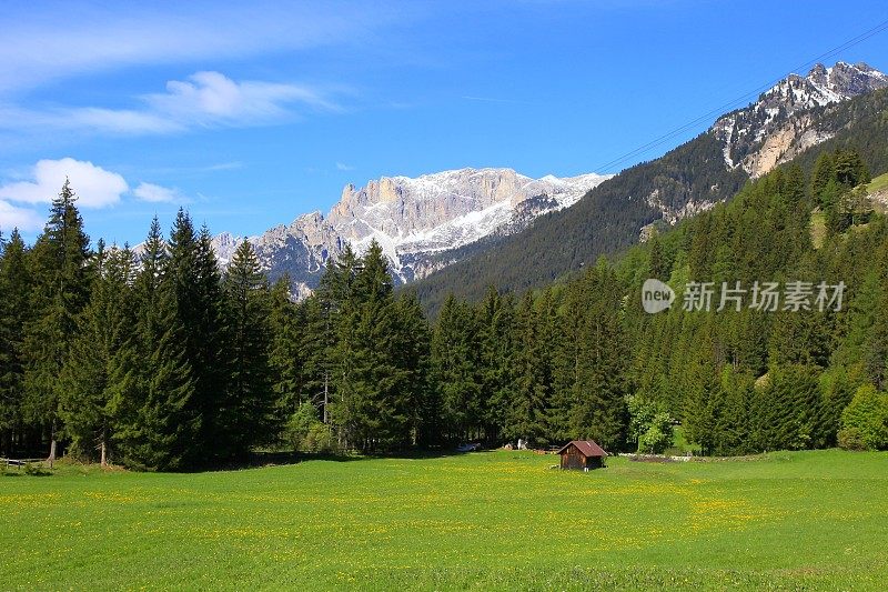 白云石高山景观，绿色松树山谷，科尔蒂纳，南泰洛