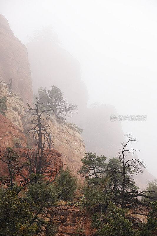 雾红岩峡谷景观