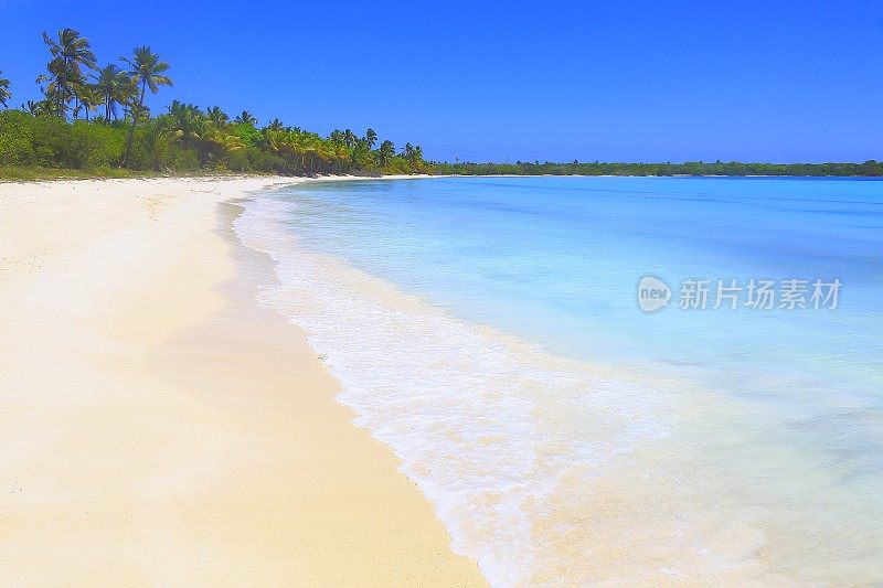 热带天堂:绿松石沙滩，棕榈树和蓝天