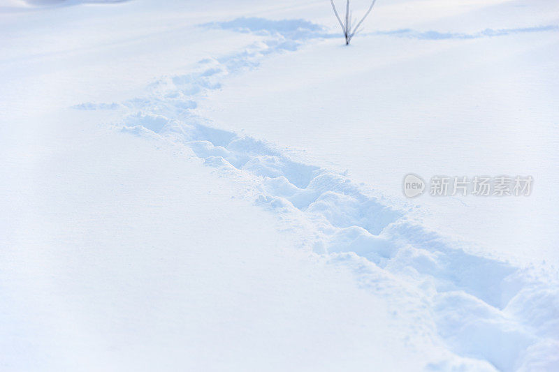 雪地里的明尼苏达冬天——雪地里的脚印