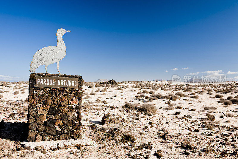 Corralejo公园。Fuerteventura。