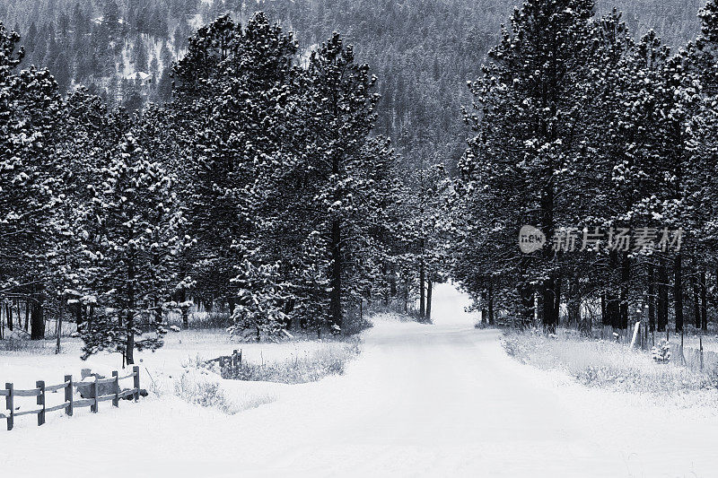 雪路