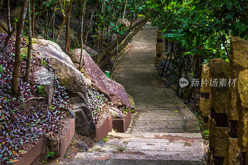 铺在森林里的混凝土小路。亚龙湾热带天堂森林公园，海南，中国。