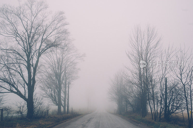 雾蒙蒙的道路