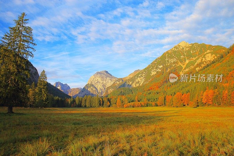 阿尔卑斯山景观在奥地利Tirol，附近Karwendel山脉和巴伐利亚阿尔卑斯山在德国-雄伟的高山景观在金色的秋天，戏剧性的Tyrol雪山全景和田园式的Tirol草地，奥地利